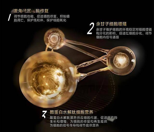 轻松找到mt4交易平台官网网址，这些技巧让你交易更高效！
